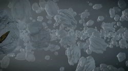 .webm