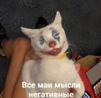 16100143682410.png
