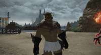 ffxiv23012021205537765.png