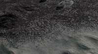 speckleytransition.jpg