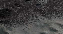 speckleytransition.jpg