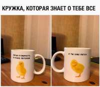 15889607429760.jpg