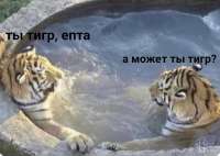 IMG20210531105035144.jpg