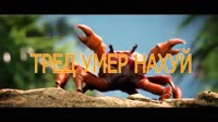 16229965207380.mp4