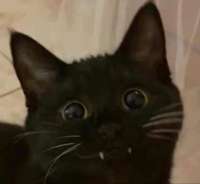 16259433396020.jpg