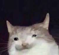 1639577391354.png