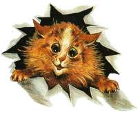 Wain-Catintheice.jpg