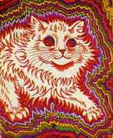 gato2.jpg