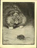Wain-AnIntroductioninMiniature.jpg