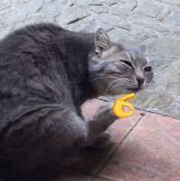 16254387469330.jpg