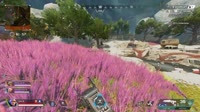 2.mp4