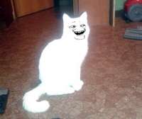15871123318770.png