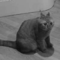 16042790682970s.jpg