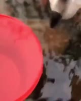16445879871661.mp4