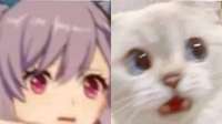 16448118263060.png