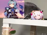 16420162299290.mp4