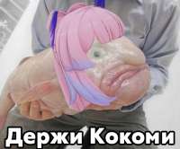 16473421826970.jpg
