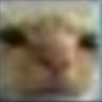 1615577715933.jpg