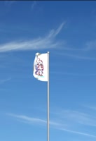 козий тред.webm