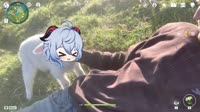 16478001352490.mp4