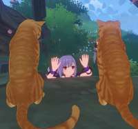 0F2344BD-0E45-41CE-913C-5D68EBDF2BB2.jpeg