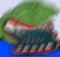 1648378349686.jpg