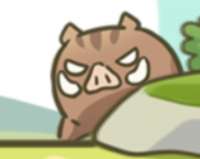 16157451391350.png