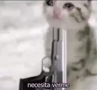 16482938483570.mp4