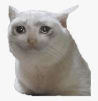 sad-cat-1.png