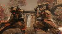 Sekiro28-1.jpg
