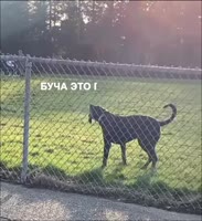 16490932427680.webm