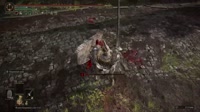 2.mp4