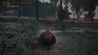 elden ring.mp4