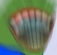 16502980654500.jpg