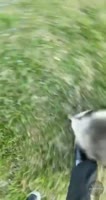 Haelle-1515321421446189058-20220416162914-vid1.mp4