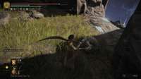 Elden Ring Screenshot 2022.04.17 - 18.11.55.66.png