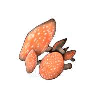 mushroomcraftingmaterialsconsumableseldenringwikiguide200px.png