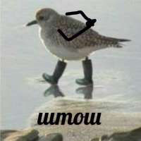 .png
