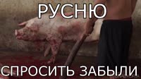 16449646911530-b.mp4