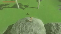 16506300890660.webm