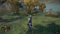 0001.webm