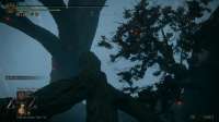 Elden Ring Screenshot 2022.04.25 - 22.01.15.85.png
