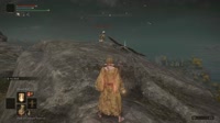 Elden Ring 2022.04.26 - 08.41.36.12.webm
