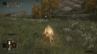 Elden Ring 2022.04.26 - 08.47.12.13.webm