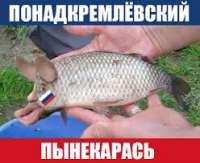16320543268240.jpg