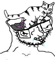 a52.png