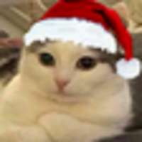 image(2).png