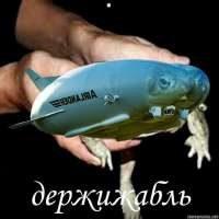 16539987845900.jpg