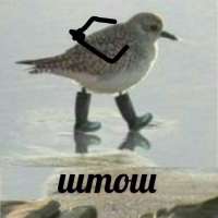 .png