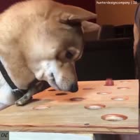 .mp4